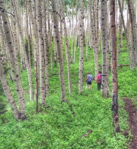 Live like a local in Telluride - hike the Jud Wiebe Trail